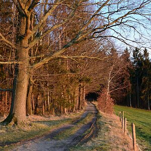 DSC_6532_00001n.jpg