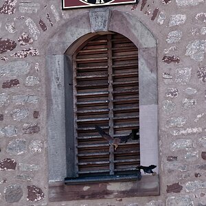Turm II