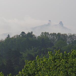 P4260682 (2)n.JPG
