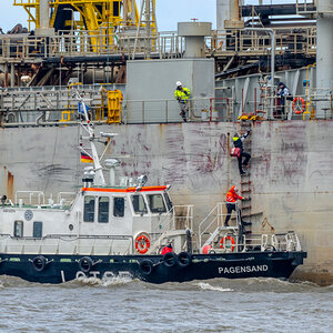 D50_9526.JPG