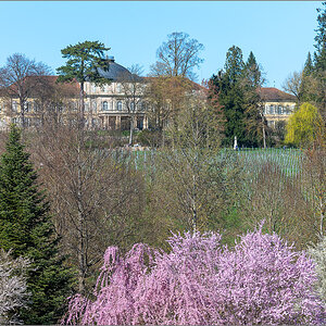 D75_3128.jpg