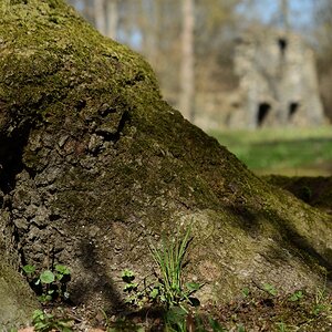 DSC_1689_00001n.jpg