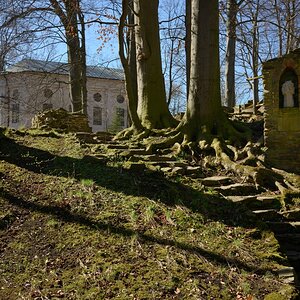 DSC_2640_00001n.jpg