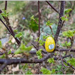 143 Frohe Ostern!