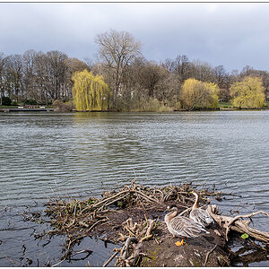 144 Aprilwetter im Schrevenpark