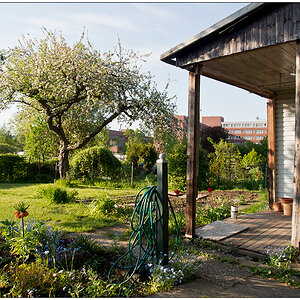 146 Gartenhütte 2016 im Mai