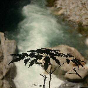 DSC_0462_01.JPG