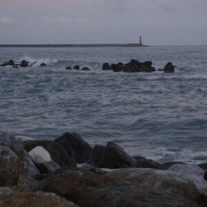 DSC_0521_01.JPG