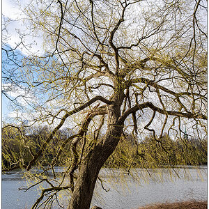 148 Schrevenpark im April II
