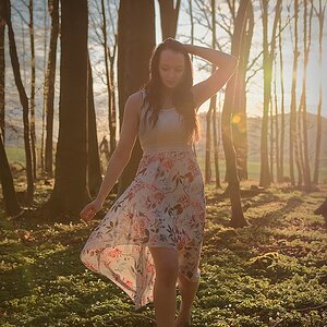 Frühling im Wald