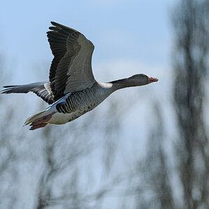 OF5_09567.jpg
