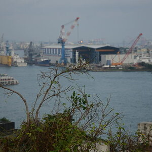 DSC_0563_beab_01.JPG