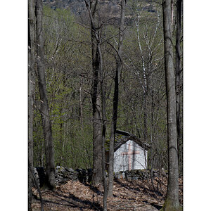 T21DSC_4789.jpg