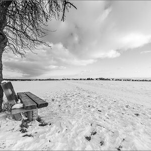 D75_2917.jpg