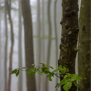 D75_0157.jpg