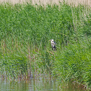DSC_2501-Bearbeitet.jpg