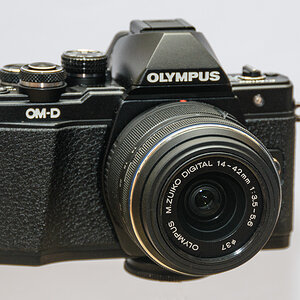 D72_1836.jpg
