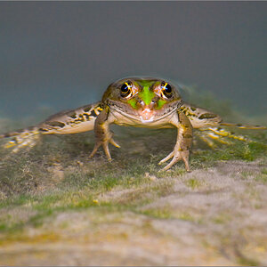 _DS27388-Bearbeitet.jpg