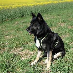 DFX_7475.jpg