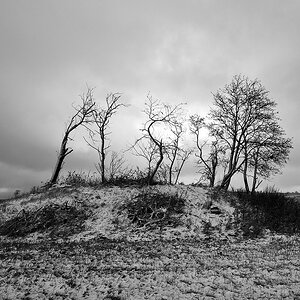 DSCF2498.jpg