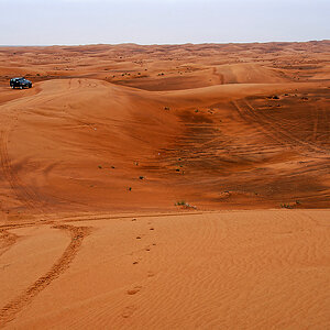 DSC_1225.jpg