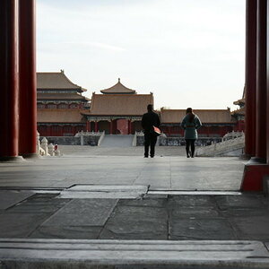 DSC_7335_01.JPG
