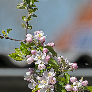 NIKON Z 7_2_2021_04_26_12_55_Z72_0970.jpg