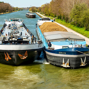 F80_2474_038#.JPG
