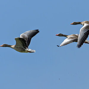 OF5_10377.jpg