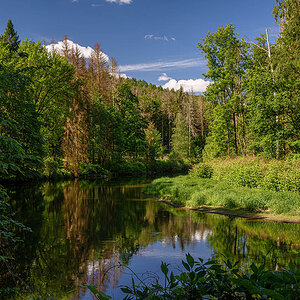 D81_2595.jpg