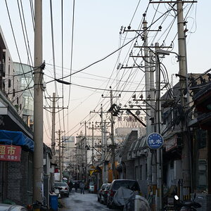 DSC_7305_01.JPG