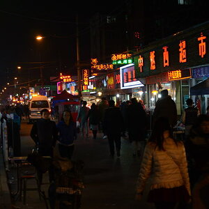 DSC_7253_01.JPG