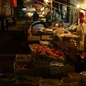 DSC_7260_01.JPG