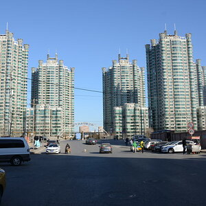 DSC_7367_01.JPG