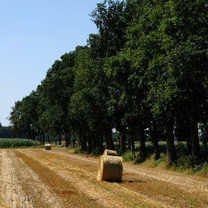Feld 1