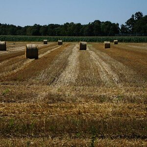 Feld 2