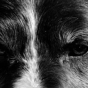 AF Micro-Nikkor 105mm/2.8 D, Nikon D3