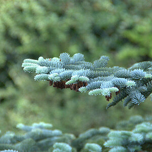 test1