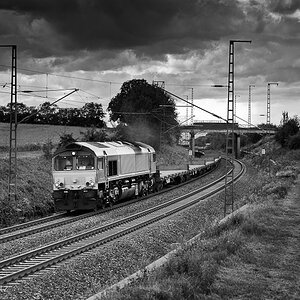 DSC8795