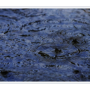 Regen