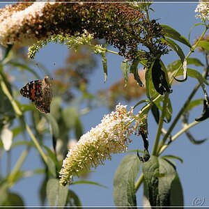 Image00020