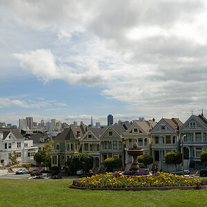 Painted Ladies