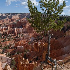 Bryce Canyon   1