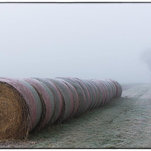 Diesiger Weg (1 von 1).JPG