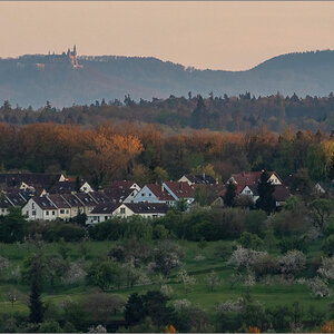 D50_8004-Bearbeitet.jpg