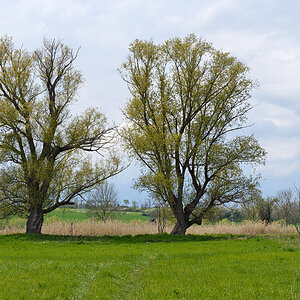 OF2_49155.jpg