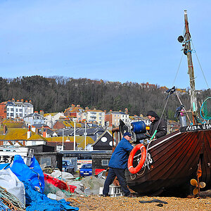 DSC_1995.jpg