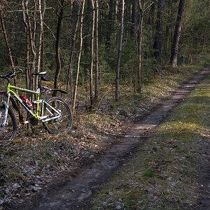 Waldweg 2 (1 von 1).JPG