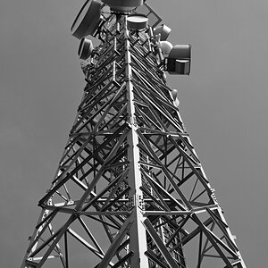 DSC_8369.JPG
