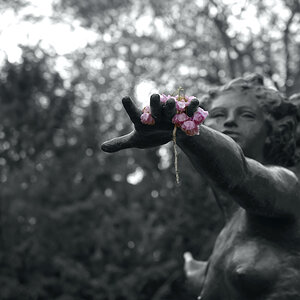 DSC_4434.jpeg